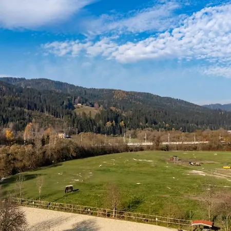 Tamliving Muerztal Neu Kueche Wifi Tv Apartment Unterlichtenegg
