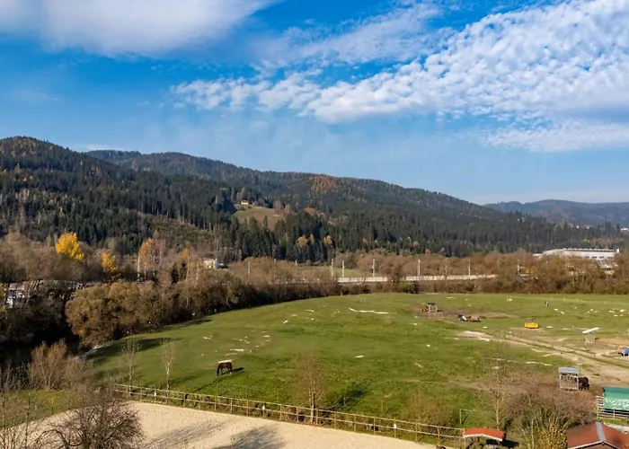 Tamliving Muerztal Neu Kueche Wifi Tv Appartamento Unterlichtenegg